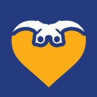 Skins4Good - CS2 Community Charity (@skins4good) 's Twitter Profile
