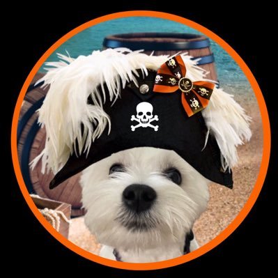 😃 2nd in Command of the WORLD FAMOUS ZOMBIESQUAD 🐶 🌈 Gen. Biscuit & Hansum Now patrolling OTRB 🔸#ZSHQ 🧟♂️ @ZombiesquadHQ #TheAviators ✈️ BB Gang