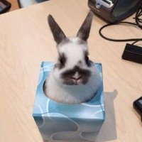 c3m3t4ry-dr1v3333 (@dr1v333329832) 's Twitter Profile