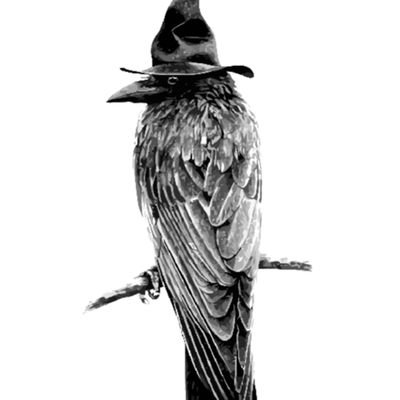 𝕬𝖑𝖑 𝖔𝖗𝖎𝖌𝖎𝖓𝖆𝖑 𝖆𝖗𝖙𝖜𝖔𝖗𝖐. 𝕯𝕺 𝕹𝕺𝕿 𝕮𝕺𝕻𝖄. 𝕾𝖊𝖗𝖛𝖎𝖈𝖊𝖘 𝖆𝖛𝖆𝖎𝖑𝖆𝖇𝖑𝖊 𝖛𝖎𝖆 𝕯𝕸.