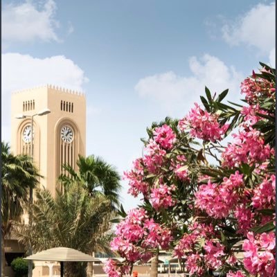 sllaz_'s profile picture. الحمدلله 🤍