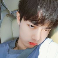 di 🪭 (@fernwehdii) 's Twitter Profile