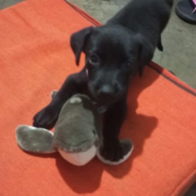 DSN2024's profile picture. 