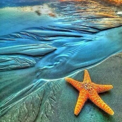 JoyfulCatMom's profile picture. People come into your life for a reason, a season, or a lifetime.