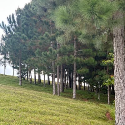 gilbert32917796's profile picture. 