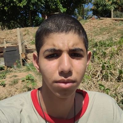 _AlvaroTPorto's profile picture. perfil inteiramente de zueira,não levar a sério nada que é postado nessa conta

@atletico 🐓🐓