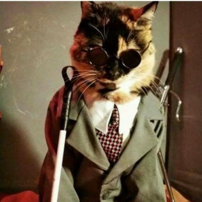 Cari_kana2024's profile picture. ฮายๆ คับ😘 bored, post whatever I want. ||Eng,Thai||  TikTok: toki_minari. Dis:Rin_Shivani1150. Fandom: Dsmp, Liftsteal, Unstable, FS, BT, DID, Skibidi others