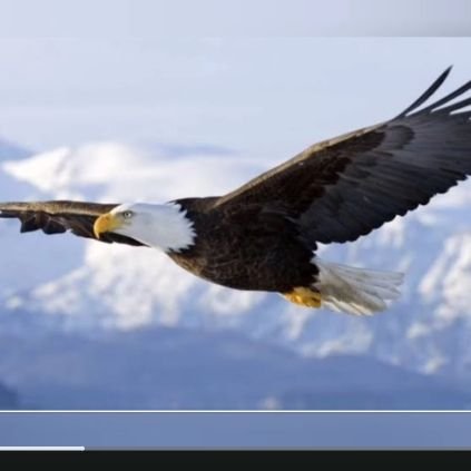 ADEM32834871920's profile picture. beni tanıyınca pişman olmama oranın % 90