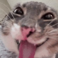 ElDanelEu's profile picture. 🐶