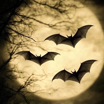 Mom's Pride🤱🤍 Ąłøņë 🦇🌴🎭 All My Social Media Handles 👉👉https://t.co/p6yAOkxVXM