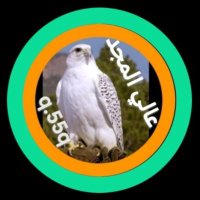 عالي المجد👈q55.q👈TikTok👉 (@jjj505) 's Twitter Profile