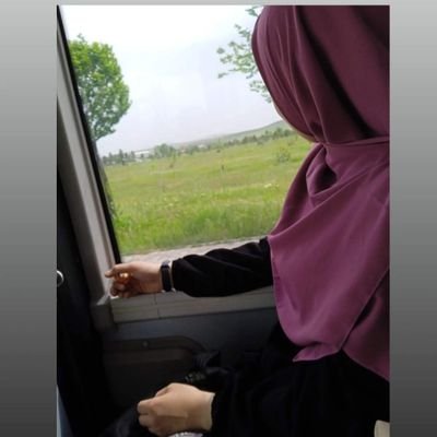 _seyyahx_'s profile picture. 