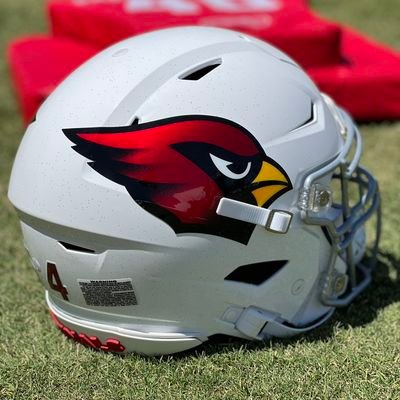 CARDINALS, COYOTES, ASU, DBACKS, SUNS /
HydnOutNow's Original Account Unbanned I'm Back!!!