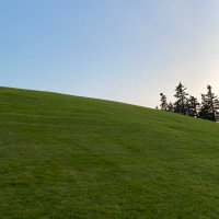 Never Not Working (@4ssseen) 's Twitter Profile Photo