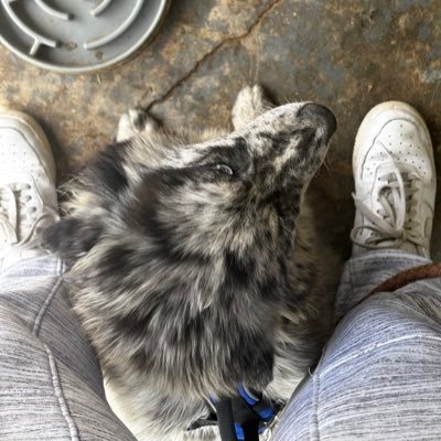 EllieRoe4's profile picture. Hey! My name is Ellie and this channel is for different gaming videos. Main focus is Horror games like Mortuary Assistant so look out for those
