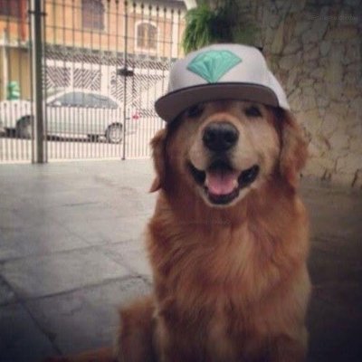 andew_og's profile picture. I love @anoma and people in this community 💟  

Chilling togther 👀