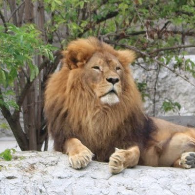 SPilets8888's profile picture. 