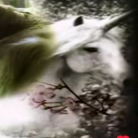 Kyrchyn (@tajiktormentor) 's Twitter Profile Photo Kyrchyn (@tajiktormentor) 's Twitter Profile Photo