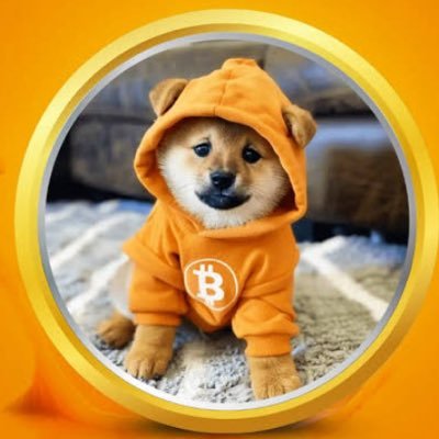 gdj2016's profile picture. 