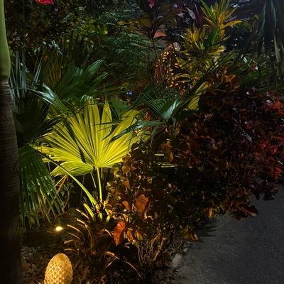 xplixit_me's profile picture. 