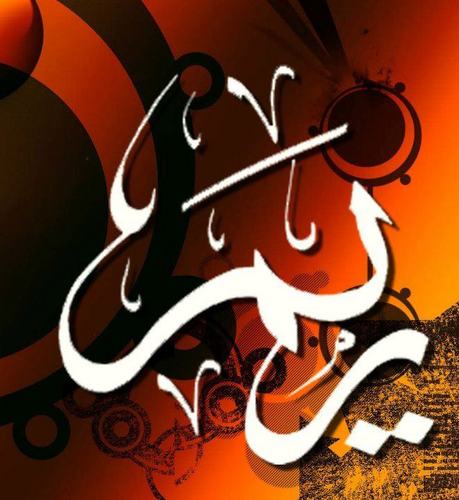 Reem Gallery Profile