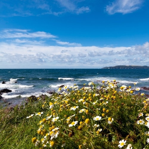 LateBooker's profile picture. Late Booker - The place to find late deals for Accommodation, Holidays, Breaks, Restaurants, Experiences and much more