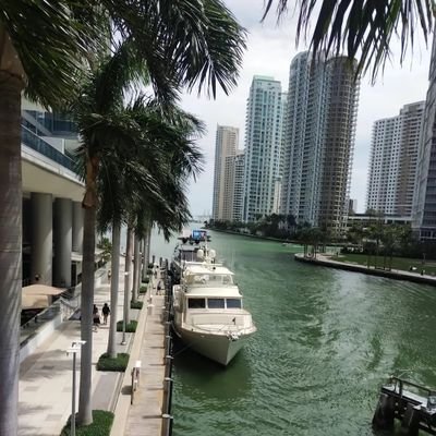 Iakopo9224's profile picture. U.S Community Writer. 'I studied'