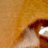 knottidan's profile image