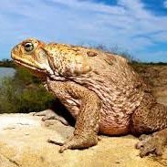 Mark Andrew (@markandrew076) 's Twitter Profile Photo