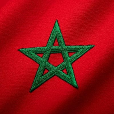 YounesTou's profile picture. 
