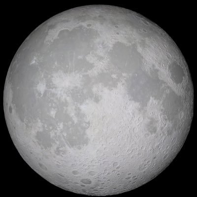 lunamummm's profile picture. Where do I begin?