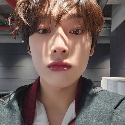 𝅭ㅤ𝅭ㅤ⸺ㅤ live,ㅤ laugh, ㅤlove,ㅤ #enhypen ♱