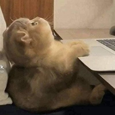 MAHA39774750491's profile picture. 