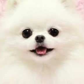 漫画📕の取材で色々な場所に行き写真🤳を撮っております📷 発達障害の娘とワン🐶ニャン🐱と暮らす🐩個人事業主/未亡人🩷無言フォロー失礼します🙇♀️怪しいアカ🤨暴力などは見つけ次第即ブロ❌よろしくお願いします🙇♀️男性ではありません私は女性です👩🍼DMは御遠慮願います🙇♀️