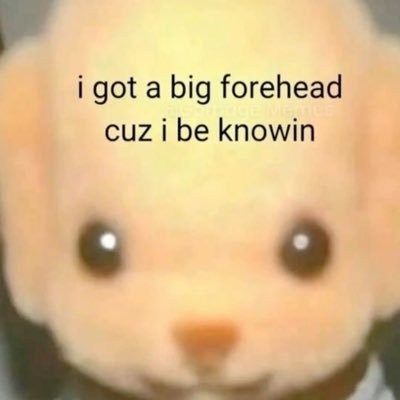 chatounet1e's profile picture. “𝐼 𝓉𝒽𝑜𝓊𝑔𝒽𝓉 𝐼 𝓌𝒶𝓈 𝒻𝒶𝒷𝓊𝓁𝑜𝓊𝓈 𝒶𝓃𝒹 𝑒𝓋𝑒𝓇𝓎𝑜𝓃𝑒 𝑒𝓁𝓈𝑒 𝓌𝒶𝓈 𝓈𝓉𝓊𝓅𝒾𝒹”