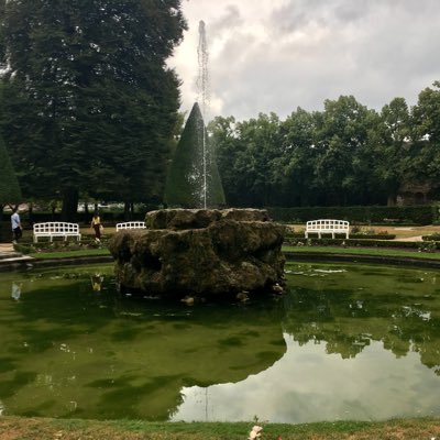 tv3167102439764's profile picture. 