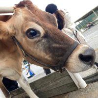 えるぱ (@v9s7uelpam5bxu) 's Twitter Profile Photo