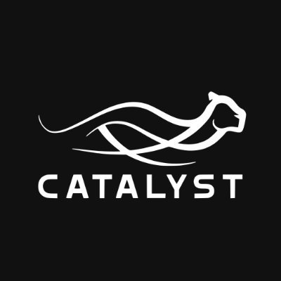 CatalystDefNet's profile picture. We are Catalyst.
Working together for the common goal - superiority.