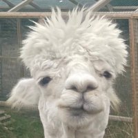 Hell(BEN)t (@jakebleu) 's Twitter Profile Photo