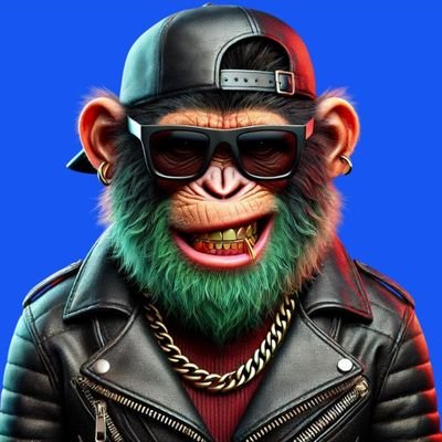 MeysamRayaneh's profile picture. I challenge myself 
And after giving results, I am looking for a harder challenge