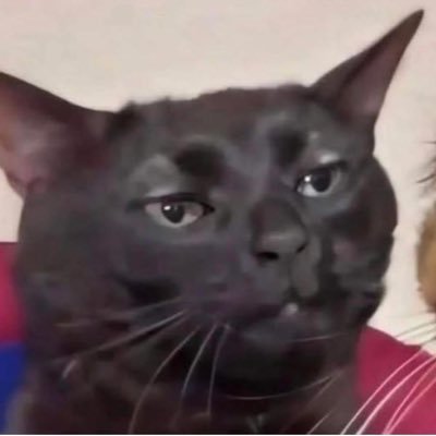 jettaxx1's profile picture. check and follow my twitch channel c: https://t.co/9JpRpK0AGY