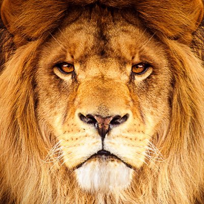 RKeepitreal's profile picture. with Liberty and Justice for All