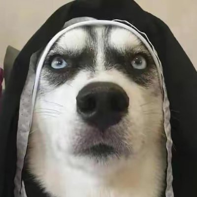 泼天的富贵砸中了我さんのプロフィール画像