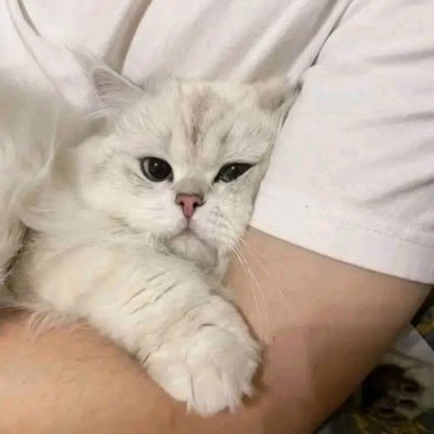 اللهم وجهّنا لما خلقتنا له واصرفنا عمّا نهيتنا عنه…طالبة طب.