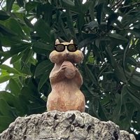 りすとおうどん (@squirrel_udooon) 's Twitter Profile Photo