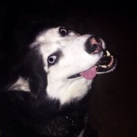 kollaty (@kollaty0) 's Twitter Profile