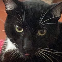 ana (@tristxnx) 's Twitter Profile