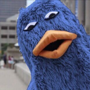 Toronto Sports Fan. Rock Enthusiast. Blue Pigeon.