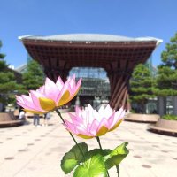 ロータス (@lotus102nd) 's Twitter Profile Photo ロータス (@lotus102nd) 's Twitter Profile Photo