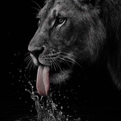 brave as the rain, never afraid to fall. life is for the living. positive as a proton. September Virgo ♍️. follow me on ig at shiro_mob